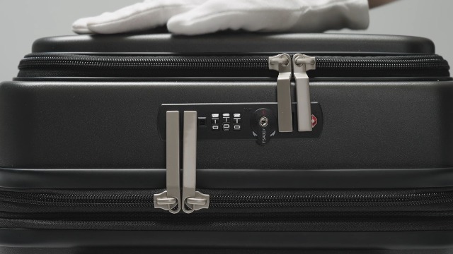 行李 Amazon.com | LUGGEX Checked Suitcase with Spinner Wheels, FLO5 Top